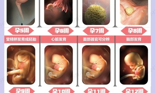 出汗多是神经性功能紊乱吗-出汗异常是神经损伤不可逆吗专区_出汗是什么神经兴奋专区_出汗有哪些脑神经支配网