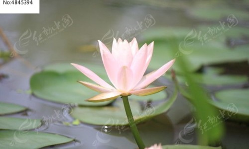 出汗主要在头部是什么意思-出汗异常是神经损伤不可逆吗专区_出汗是什么神经兴奋专区_出汗有哪些脑神经支配网